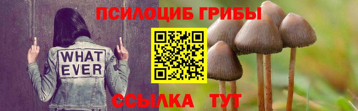 Воркута  Псилоцибиновые грибы мицелий  Вход с VPN  Псилоцибиновые грибы Magic Shrooms 